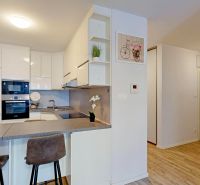 A kitchen with a bar counter and a wooden decor floor in a 3-room apartment.