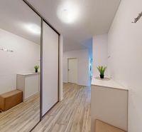 Hallway of a 3-room apartment with a wardrobe and a wooden decor floor.
