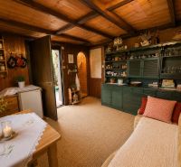Chat room with green furniture, a sofa, and a rustic atmosphere.