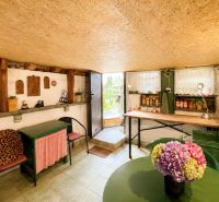 The interior of a cottage with rustic furniture, shelves, and a vase with flowers.