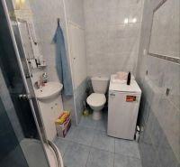 A bathroom in a studio apartment with blue tiles, a shower, and a toilet.