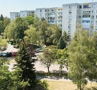 A view of the wooded surroundings and apartment buildings on Martina Rázusa Street in Michalovce.