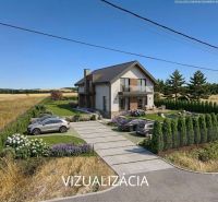Visualization of a family house in the environment of Hokovce with plots for living.