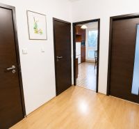 A hallway of a 2-room apartment with a wooden decor floor and three dark doors.