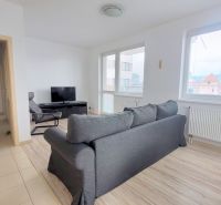 Living room in a two-room apartment with a television and a sofa, wooden decor flooring.