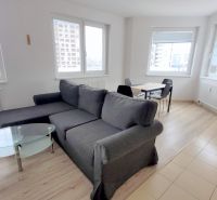 Living room in a two-room apartment, with a dark sofa and a wooden decor floor.