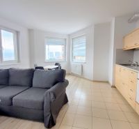 Living room of a two-room apartment with a kitchen, gray sofa, wooden decor flooring.