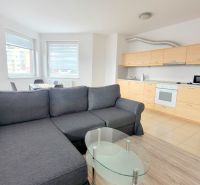 Living room of a two-room apartment with a kitchen, sofa, and glass table.