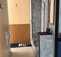 A narrow hallway with a wooden decor floor and practical storage space.