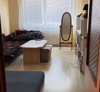 Living room in a two-room apartment with a wooden decor floor and furniture.