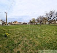 A family house in Volica with an extensive lawn and trees, with more houses in the background.