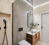 Bathroom of a 4-room apartment with a designer shower and a countertop sink.