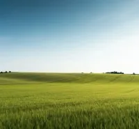 Green fields and gentle hills in the agricultural and forest lands near Medzany.