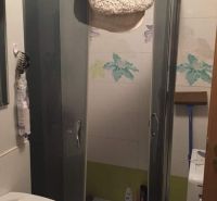 Bathroom in a 2-room apartment with a shower corner and decorative tiles.