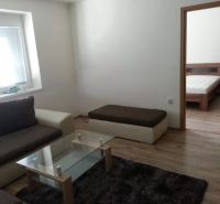 Interior of a 2-room apartment with a wooden decor floor, a couch, and a glass table.