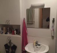 Bathroom of a 2-room apartment with a sink, mirror, and storage space.