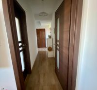 A hallway in a one-room apartment with a wooden decor floor and wooden doors.