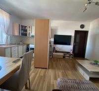 Living room in a studio apartment with wood-patterned flooring and a kitchenette.