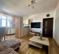 A living room in a studio apartment with a wood-patterned floor and a television.