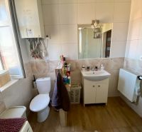A bathroom with a sink, toilet, washing machine, and wooden decor flooring in a studio apartment.