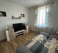 Living room in a two-room apartment with a wooden decor floor, a sofa, and a television.
