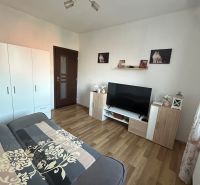 Living room with a sofa, wardrobe, and wooden decor flooring in a 2-room apartment.