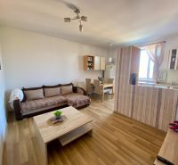 Living room in a studio apartment with wood-patterned flooring and an open-plan kitchen.