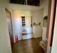Entrance hallway of a one-room apartment with a wooden decor floor and storage space.