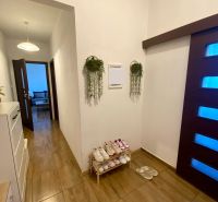 Entrance hallway in a one-bedroom apartment with wooden decor, shoes, and plants.