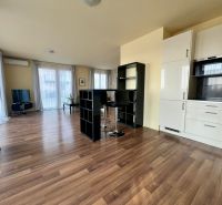 2-room apartment with wood-patterned flooring and a white kitchen unit.