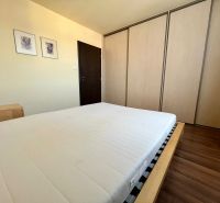 Bedroom with a double bed, built-in wardrobe, and wooden decor flooring in a 2-room apartment.