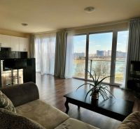 Living room in a 2-room apartment with large windows and a wooden decor floor.