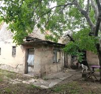 An older family house in Nové Zámky, surrounded by trees and a neglected garden.