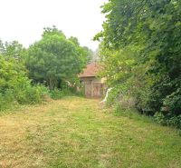 A garden at a family house in Nové Zámky with a lawn and rich greenery.