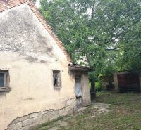An older family house in Nové Zámky surrounded by greenery with damaged walls.