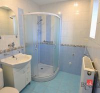 Bathroom in a 2-room apartment with blue tiles, a shower corner, and a sink.
