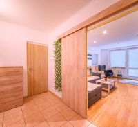 Living room of a two-room apartment with a wooden decor floor and an entrance hall.