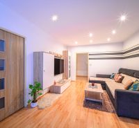 Living room in a two-room apartment with a sofa and a wooden decor floor.