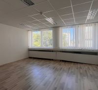 Office with a wooden floor design and large windows, bright environment.
