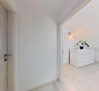 Interior of a 3-room apartment with wood-patterned flooring and modern doors.