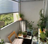 A still life of a balcony in a three-room apartment with plants and a wooden chair.