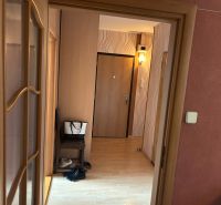 A hallway in a 3-room apartment with a wooden decor floor.