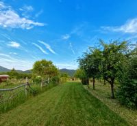 A garden near a cottage in Podhorany with greenery, a blue sky, and distant mountains.