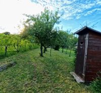A cottage in Podhorany with a wooden house and fruit trees, blue sky.