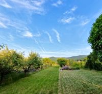A garden near the cottage in Podhorany with mowed lawn and fruit trees.