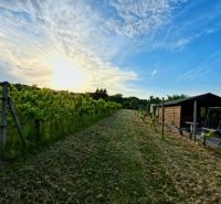 A cottage in Podhorany with a vineyard at sunset and a clear sky.