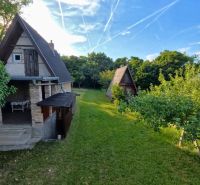 A cottage in Podhorany surrounded by greenery and fruit trees, sunny day.