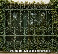 Greenery covering the decorative lattice on the window of a family house in Illmitz.