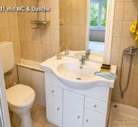 Bathroom of a family house with a sink, toilet, and shower.