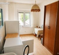 Spacious laundry room in a family house with a wooden decor floor.